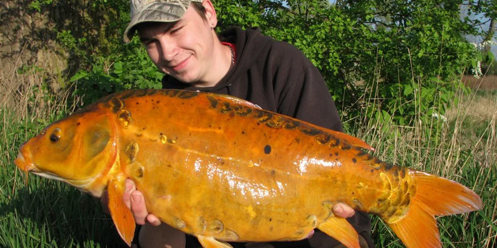 Carpkillerovo řádění pokračuje...! 