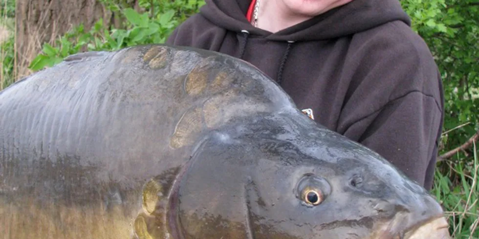 Carpkillerova sezona nabírá na obrátkách...