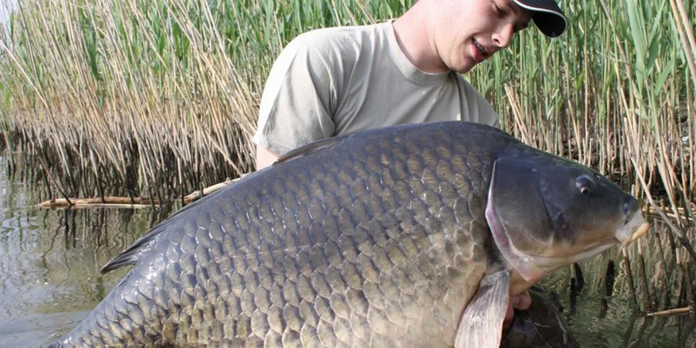 Šupinaté monstrum! 