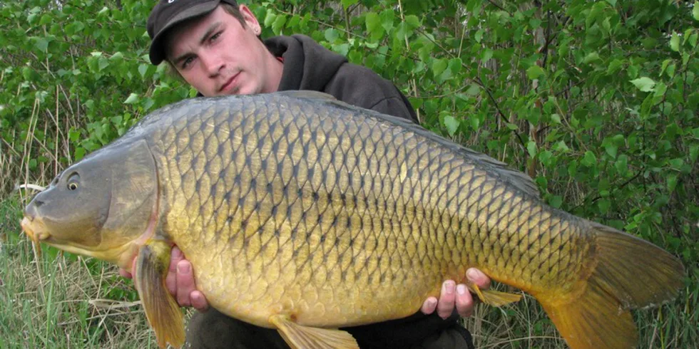 Carpkiller a jeho skvělá série... 