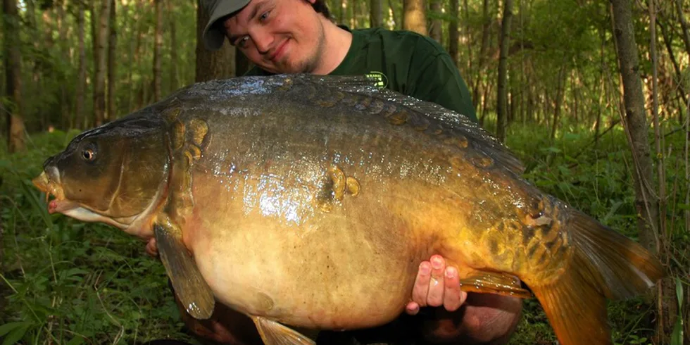 Doktorova Mojito party