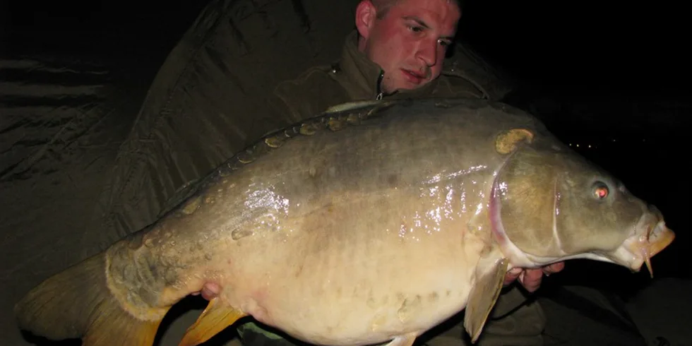 Další perfektní výsledek! 