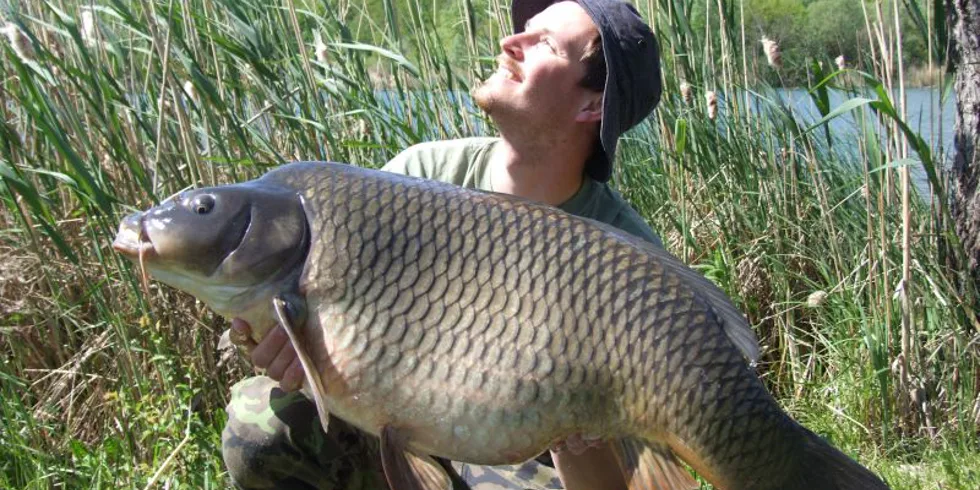 Pepé - jízda jak se patří