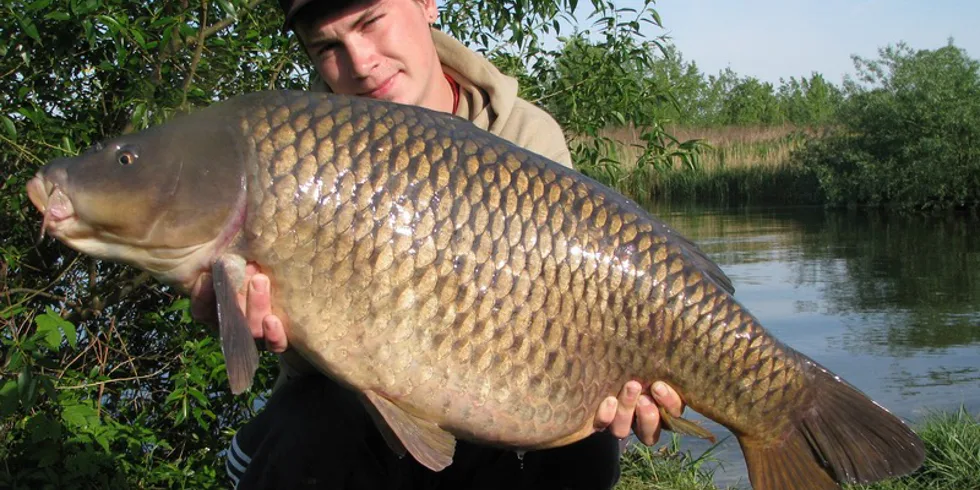 Carpkillerovo letošní řádění nezná mezí...