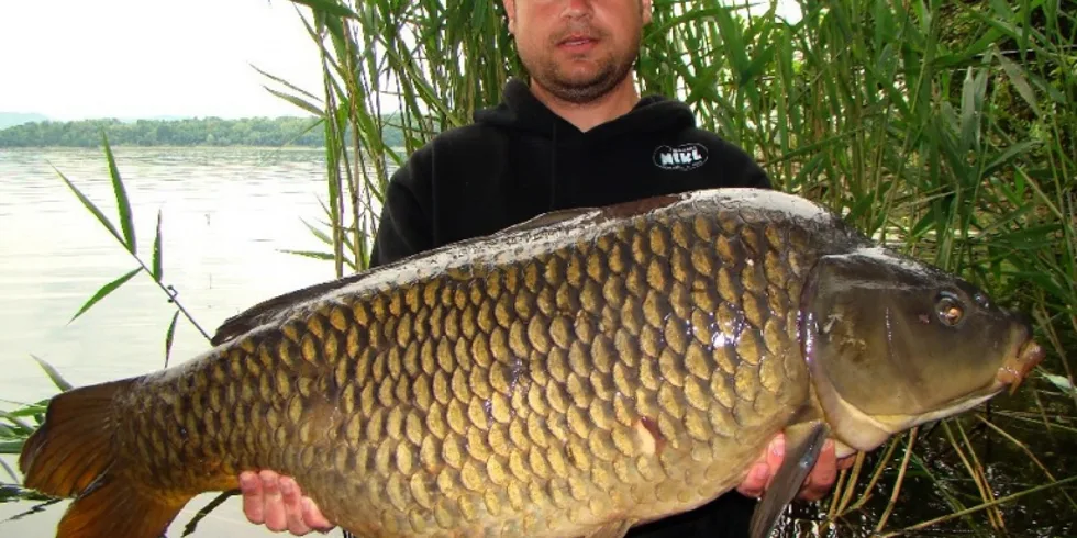 Marda s Habakukem pod alpskými kopci