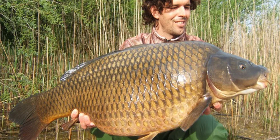 Za 5 minut dvanáct...