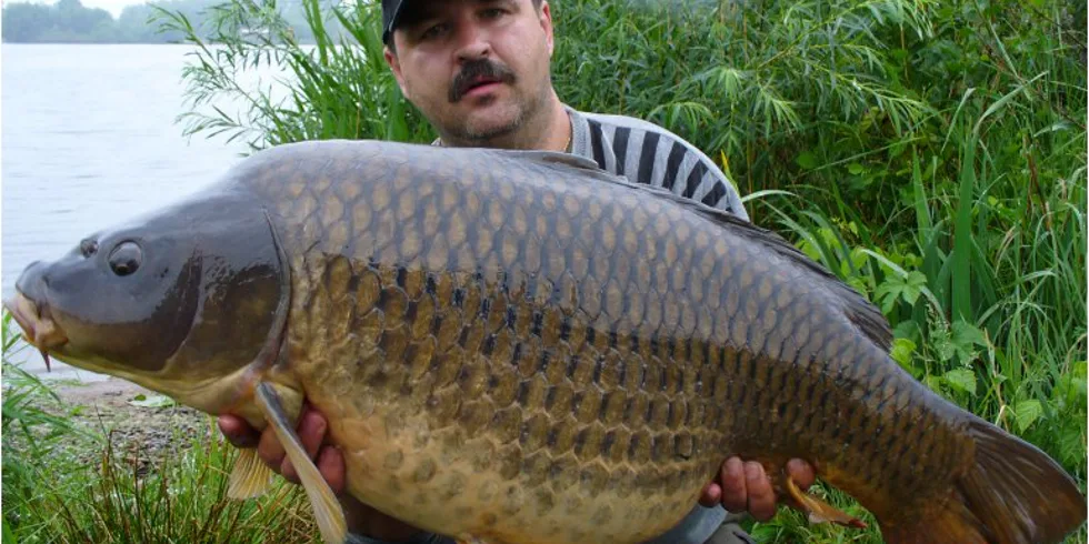 Někdy stačí jen jeden záběr 