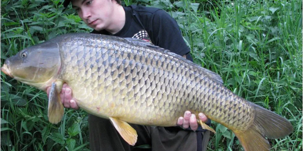 Carpkiller opět v akci