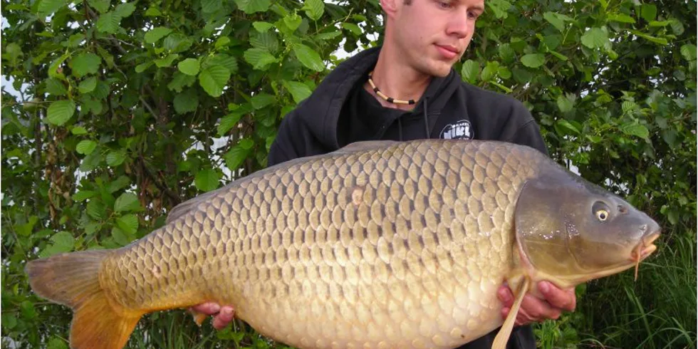 Rychlovky na Štítě