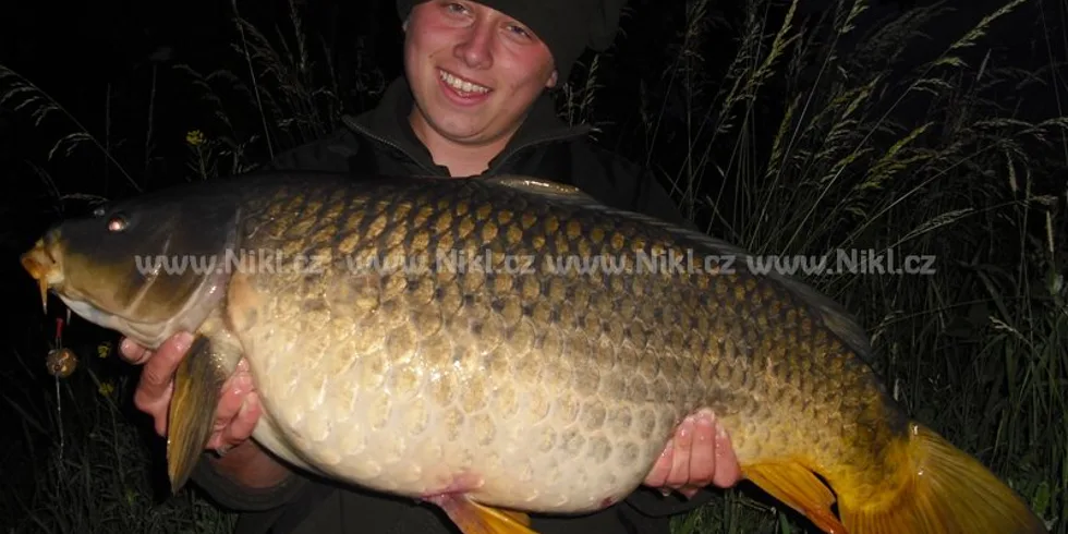 Kinder Carp Gang opět řádí!