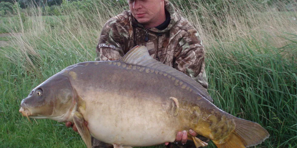 Osmotické šílenství