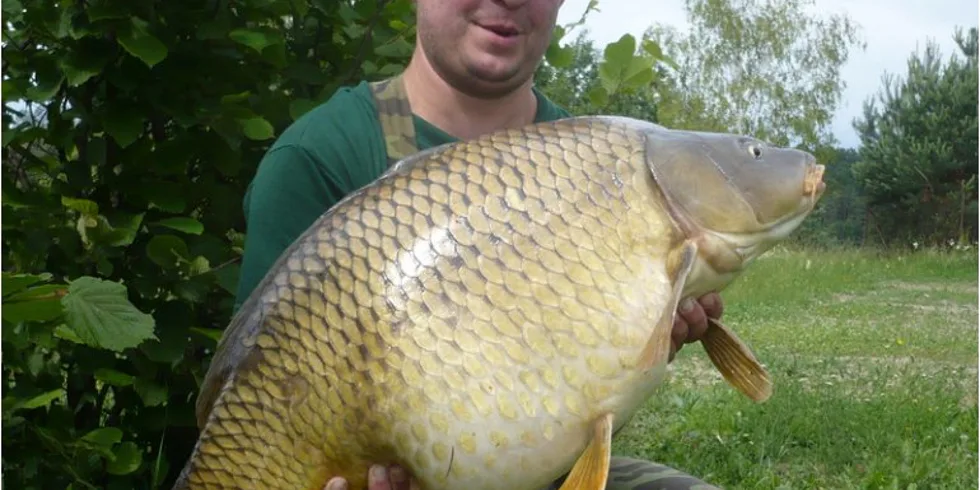 Úspěšné Monster-liver tažení... 