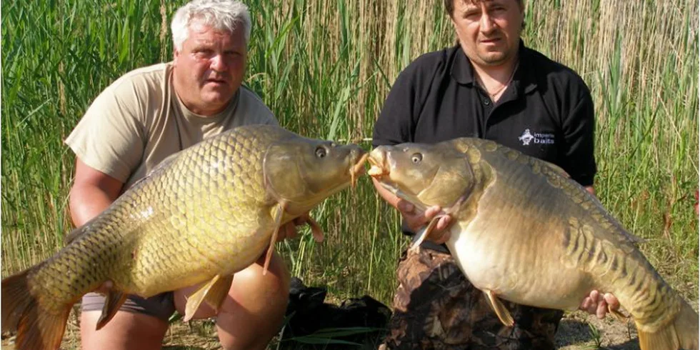 Krasavci z Jihočeské pískovny