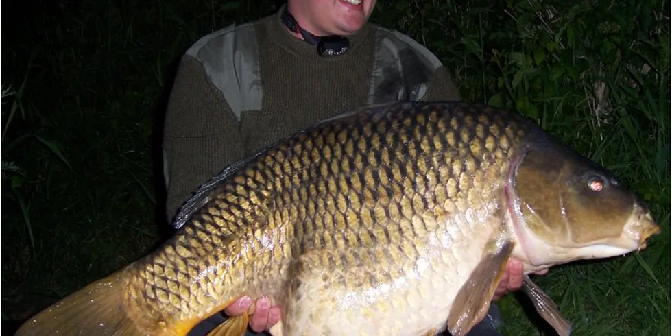 Honzova série nezadržitelně pokračuje