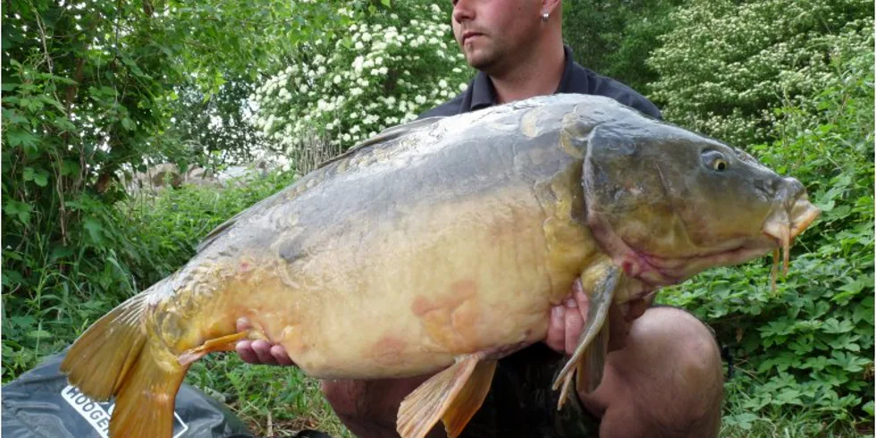 Víkend pod Pálavou