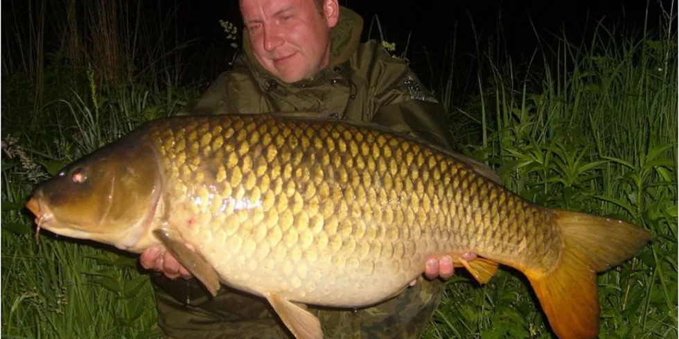 Krasavci ze svazovek