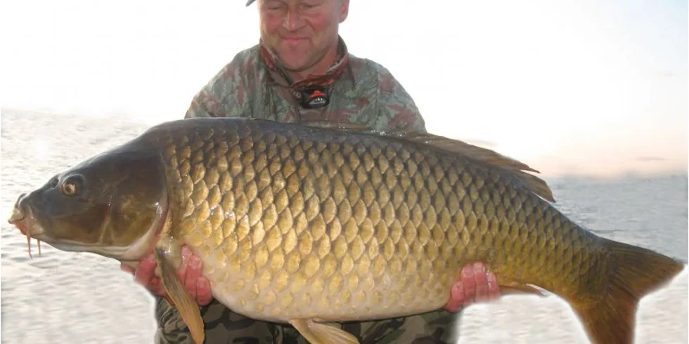 Dalasovi kapří krasavci