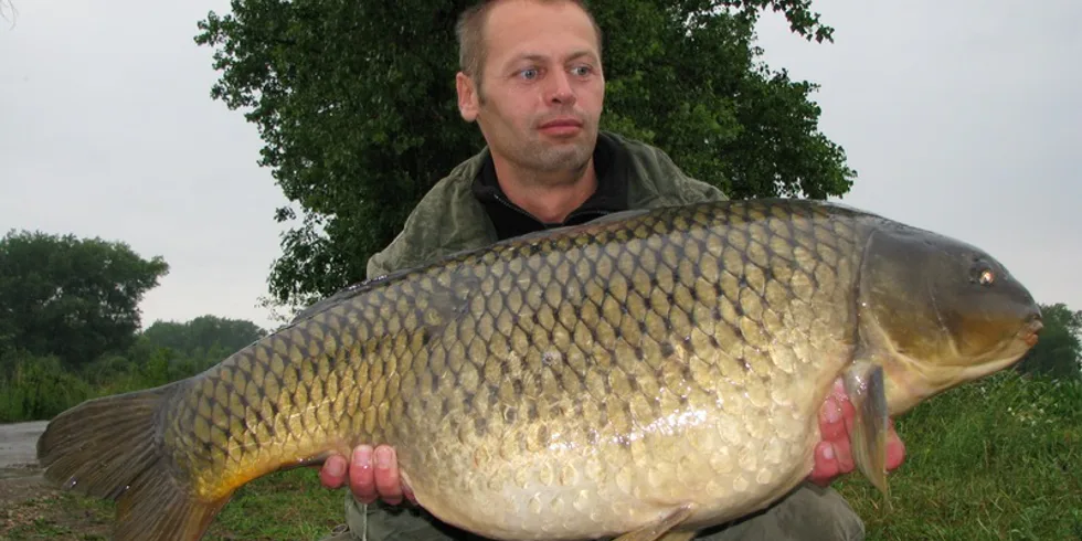 Říční série Martina Štěříka