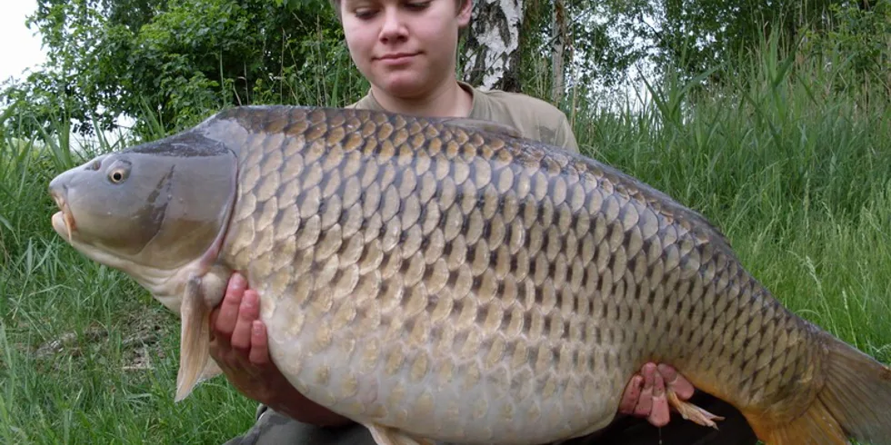 Květen na Vrbeňáku