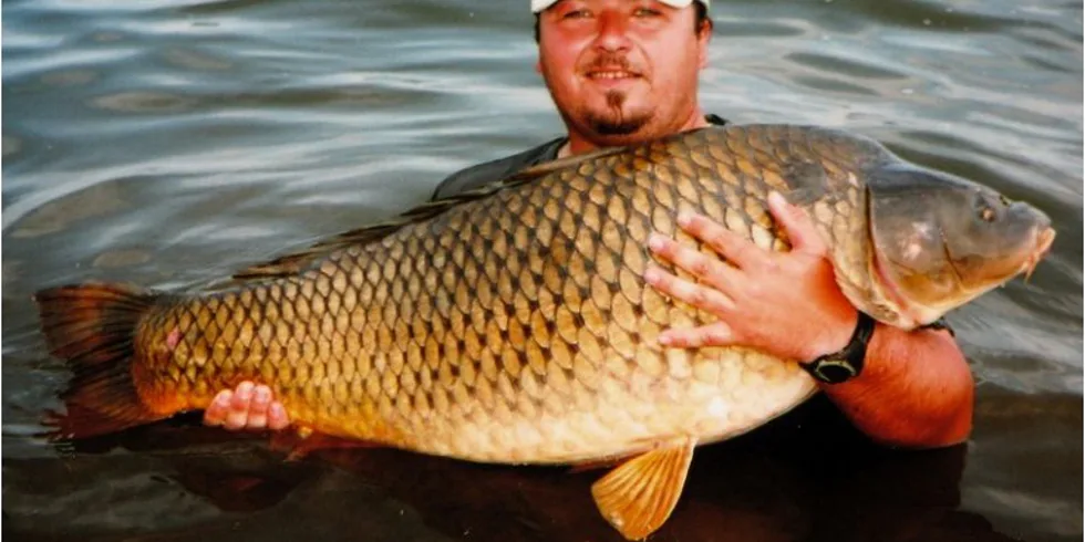 Mušovské záběrové hody