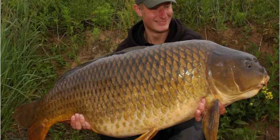 Robinův masakr 3XLkem