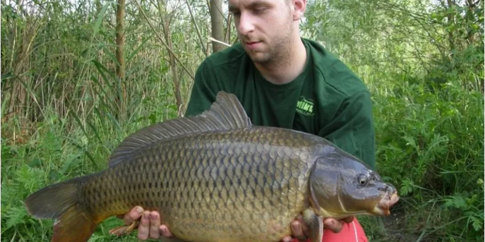 Nepřekonatelné 3XL