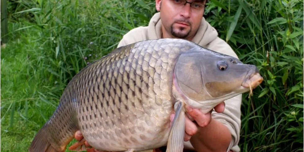 Když kapři neberou