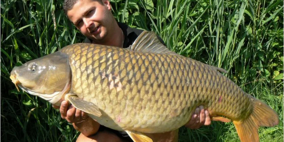 Shimanskyho supertajná vnadící strategie odhalena!