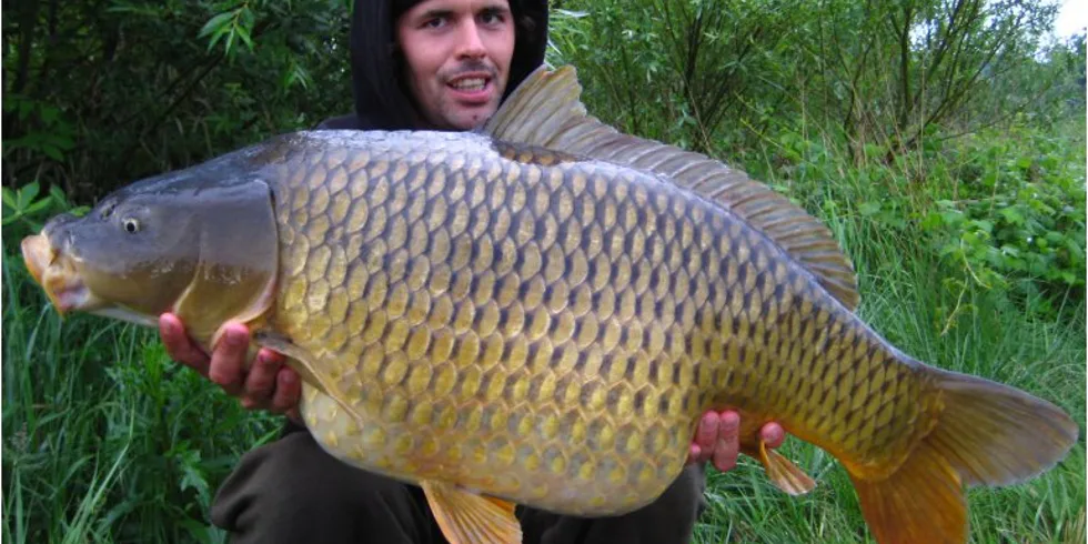 Deštivé dny na štěrkovně