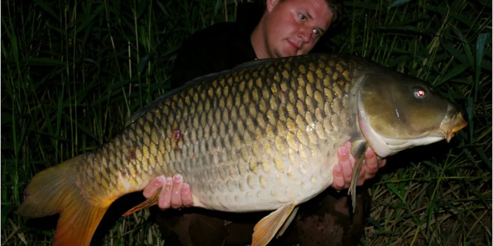 Honzovy noční jízdy