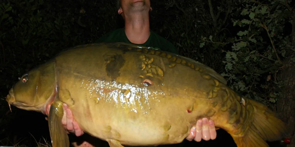 Davidovo Cassienské dobrodružství