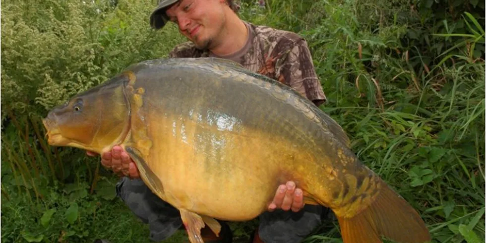 Horké chvilky s Food Signalem