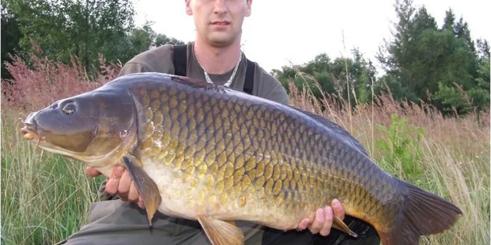 Povedený lov s Imperialem