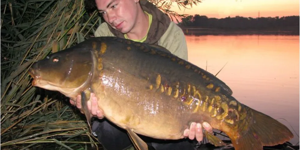 Carpkiller opět nastupuje!