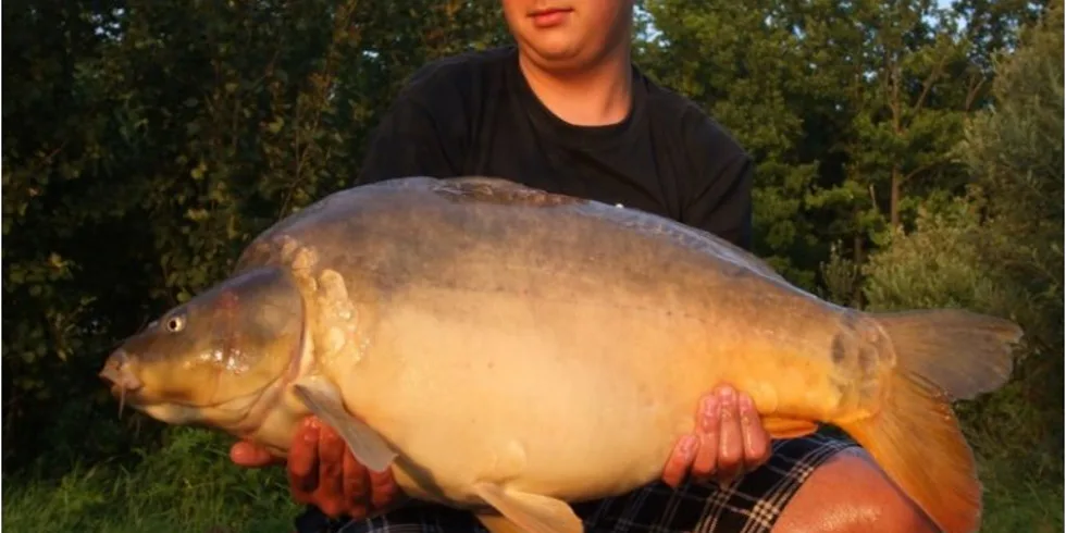 Osobáček s Eko rybou!