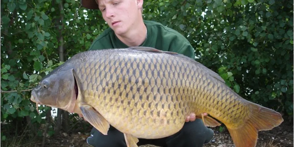  Poledňák ze Štítu