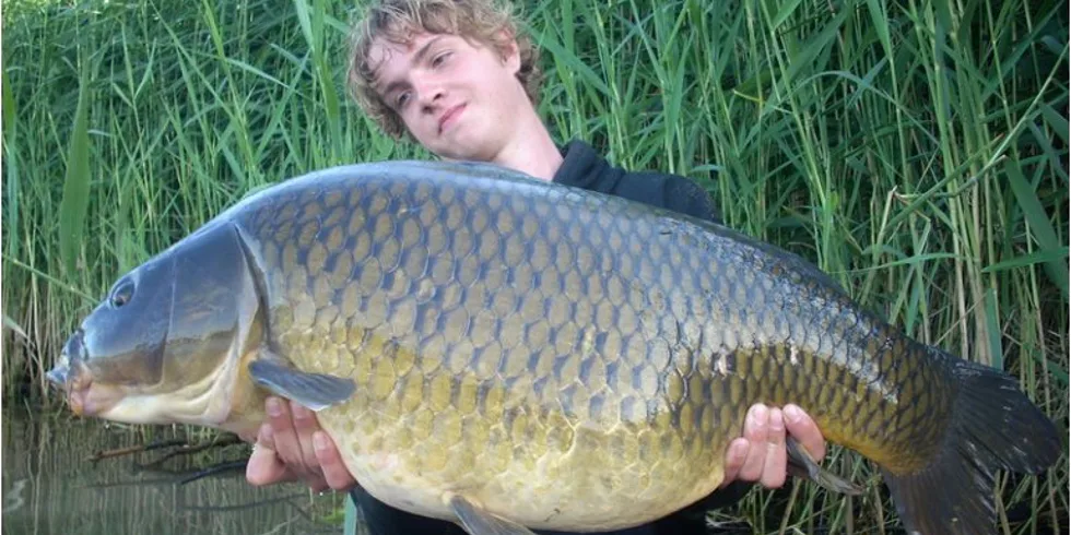 Gangsterské prázdniny