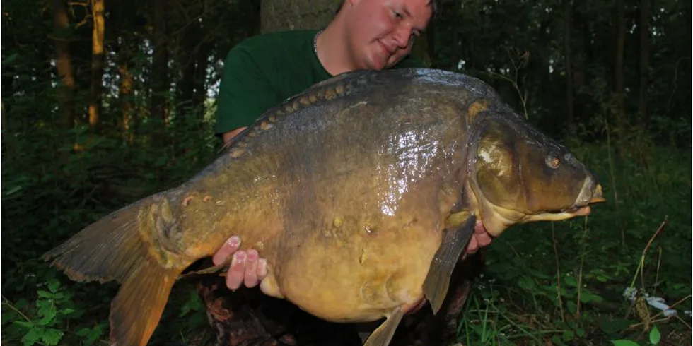 Prastarý mohykán v rukou Honzy