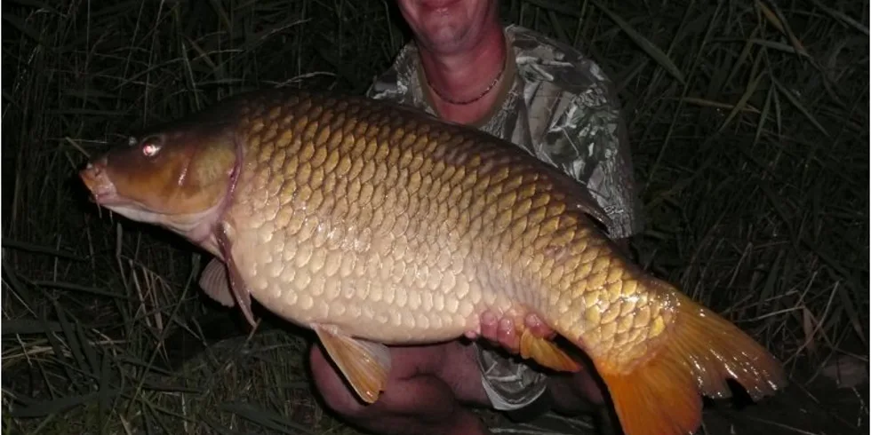 Slovenské horúčavy