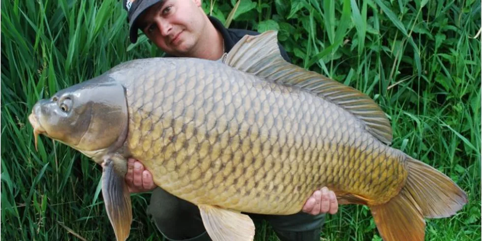 Další Mušovský úspěch