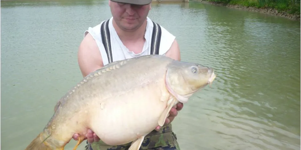 Pohodovka s Imperialem 