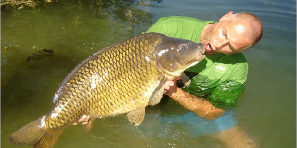 Populární Maďarský revír