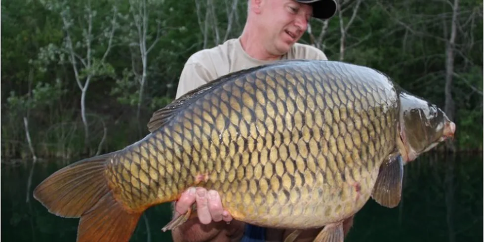 Tři výpravy a třikrát úspěch