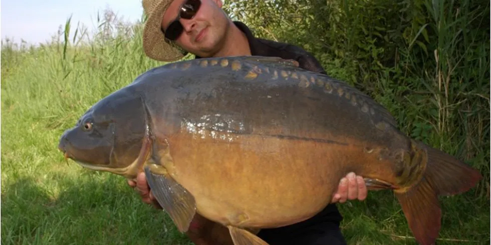 Shimansky zase boosteroval!