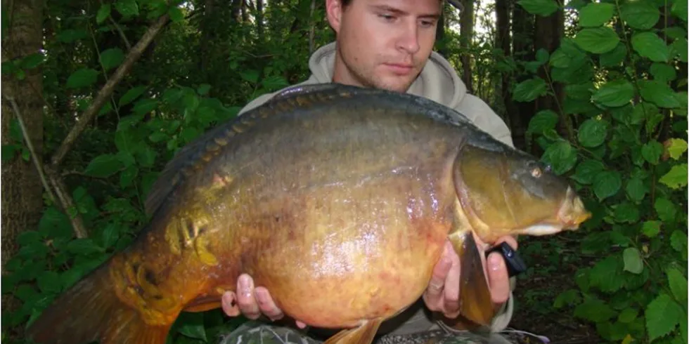 Letní stopování velkých šupináčů