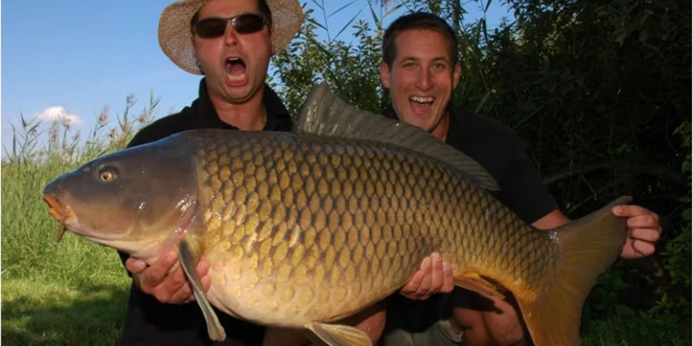 Shimansky s doktorem a mušovská smršť