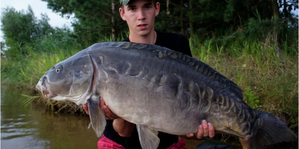 Další zářez pro Elite Strawberry! 