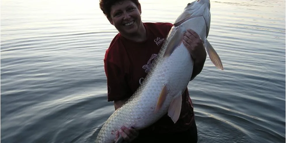 Bojovníci z Jižní Karolíny