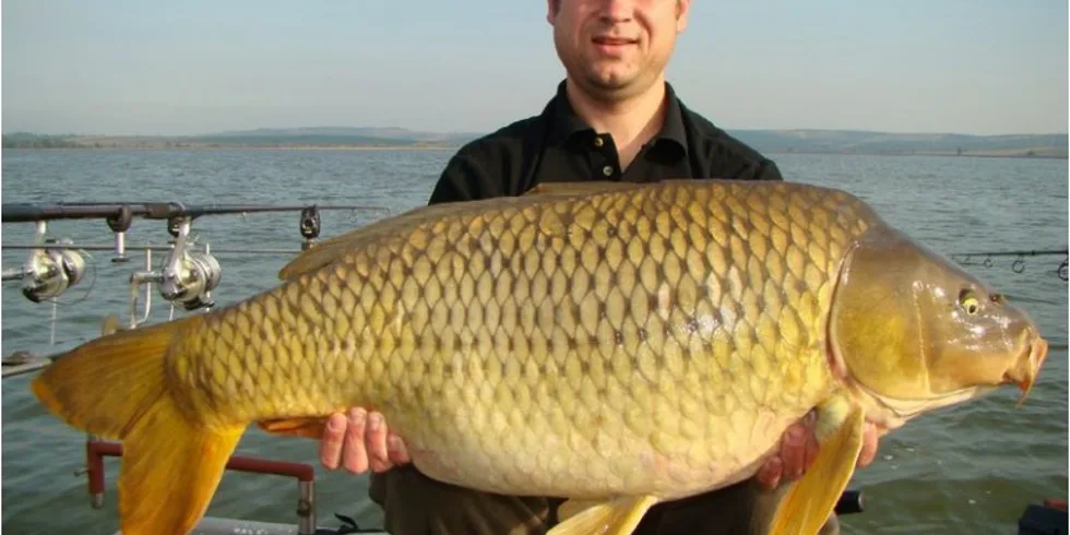 Babí léto pod Pálavou