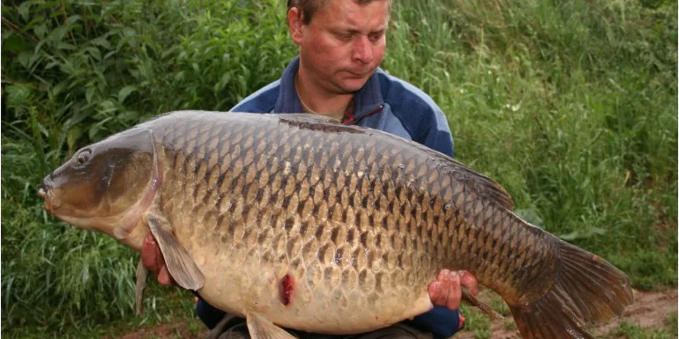 Svazovková tour Pavla Janouška